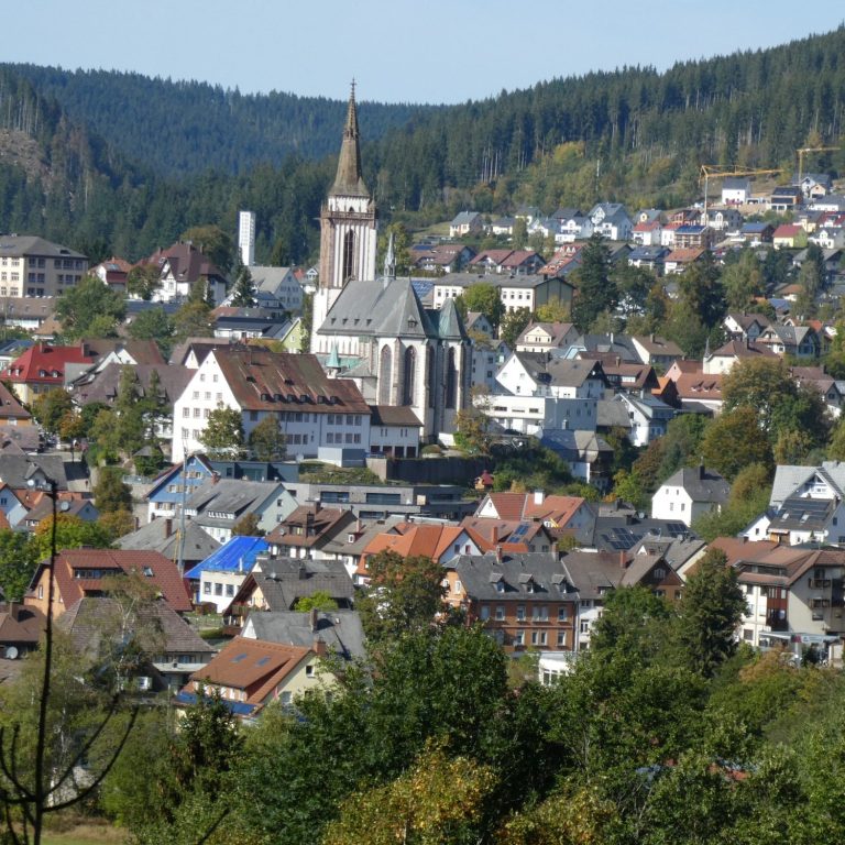 Titisee-Neustadt - lokal verwurzelt - weit vernetzt Titisee-Neustadt - lokal verwurzelt - weit vernetzt